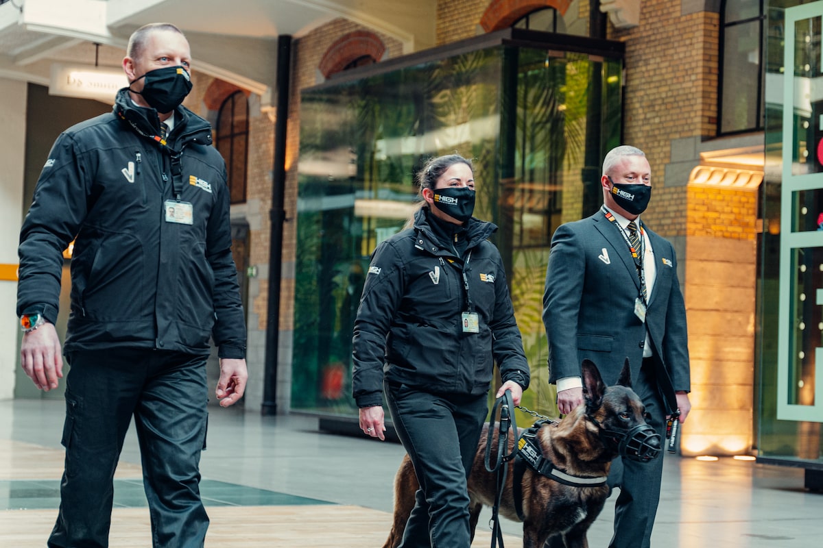 Trends : « High Security : L’acteur qui monte dans la sécurité ! »