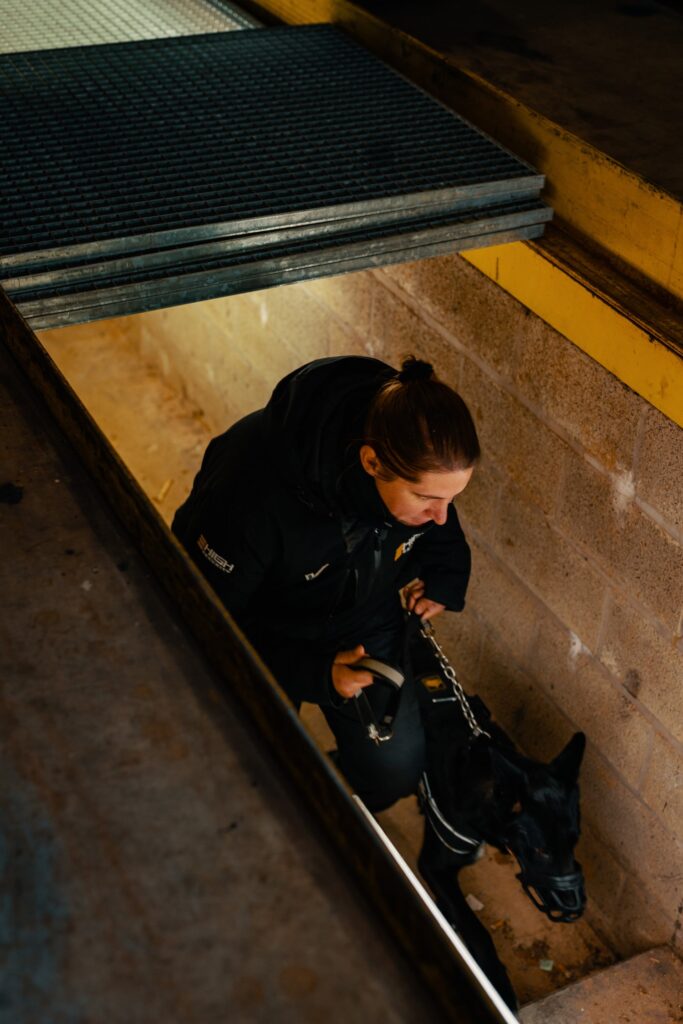 Bewakingsagenten Hondengeleider 5-min
