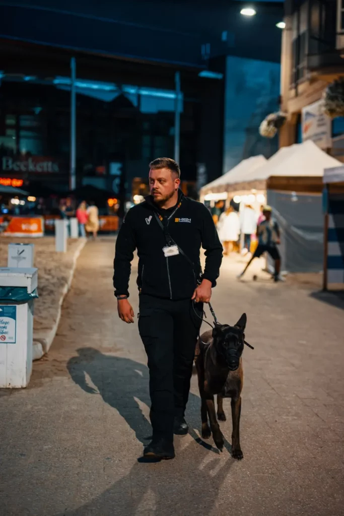 Bewakingsagentn gebouwen Kantoren 2-min Bewakingsagent van High Security