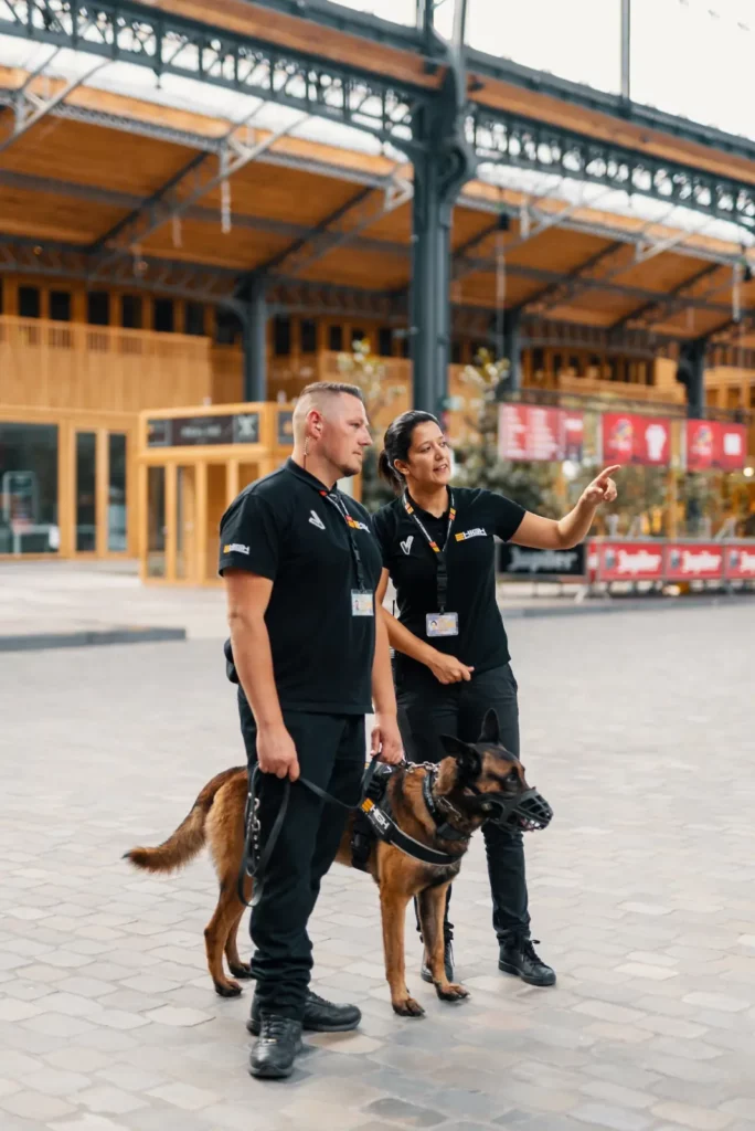 Bewakingsagentn gebouwen Kantoren 6-min Bewakingsagent van High Security