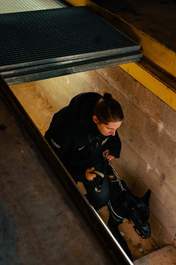 Agent de garde avec chien 11-min