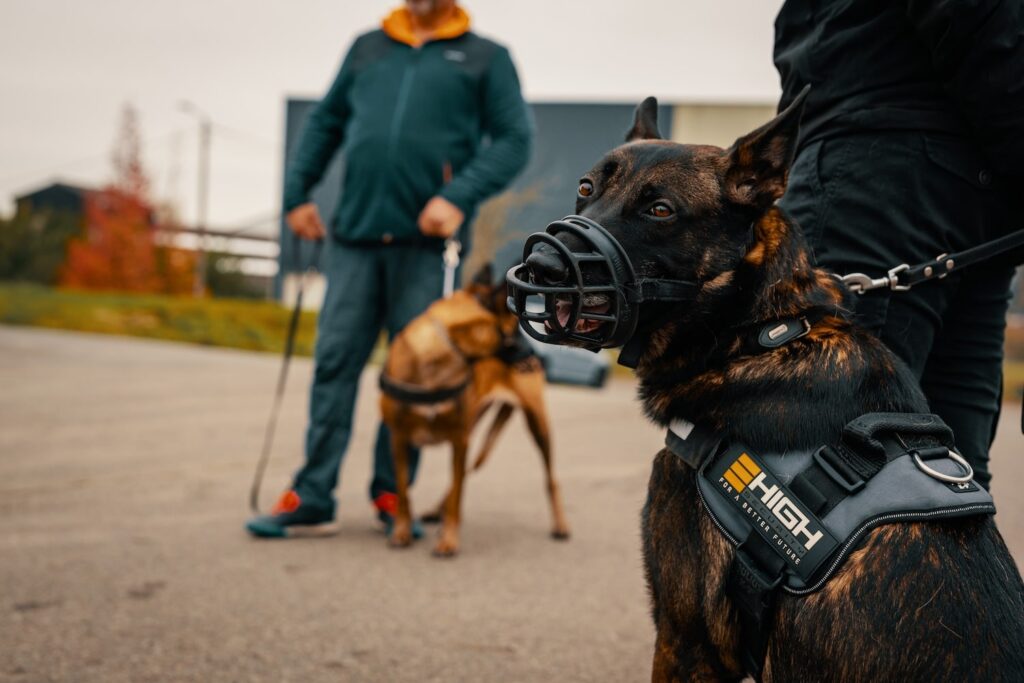 Agent de garde avec chien 12-min