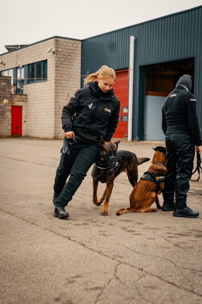Agent de garde avec chien 13-min