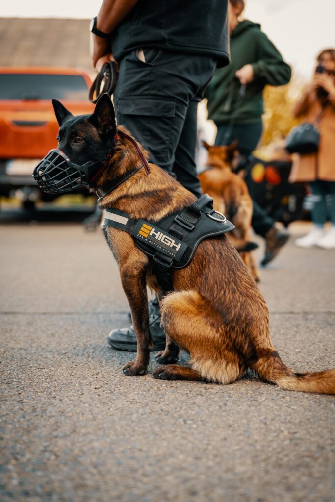 Agent de garde avec chien 6-min