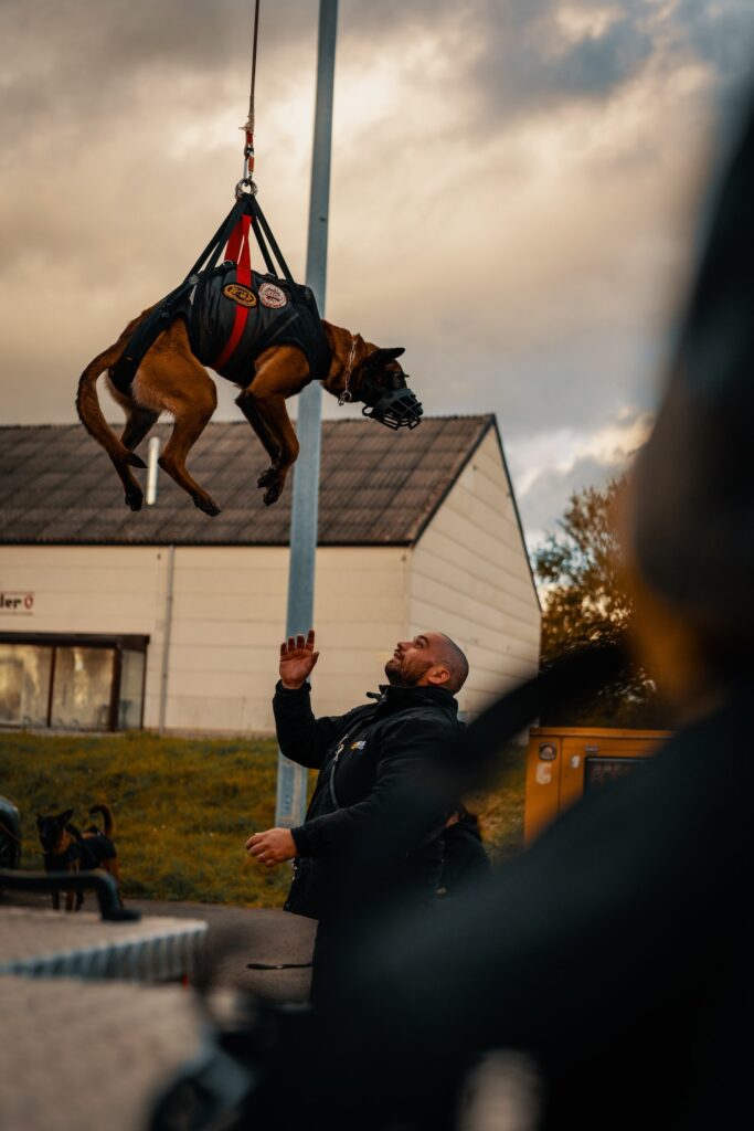 Agent de garde avec chien 7-min