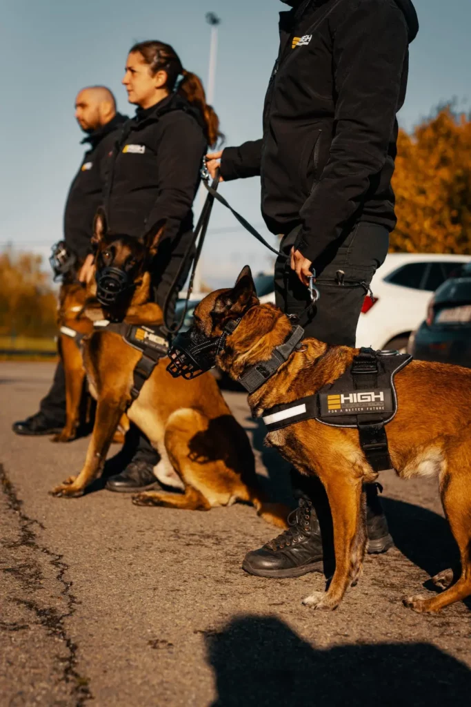 Agent maître-chien High Security