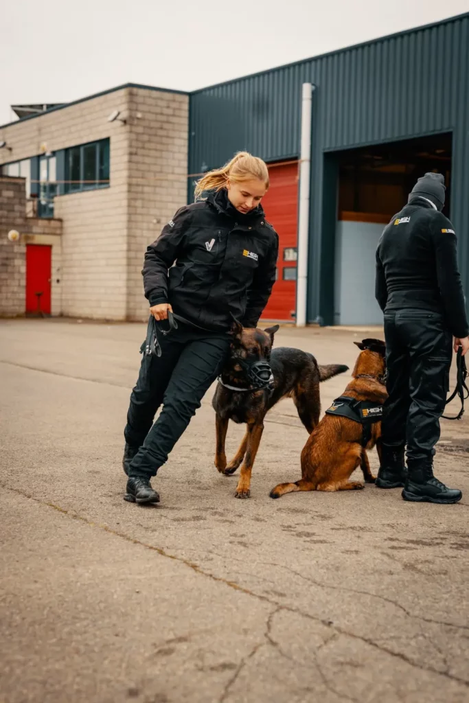Agent de garde avec chien 13-min Agent maître-chien High Security